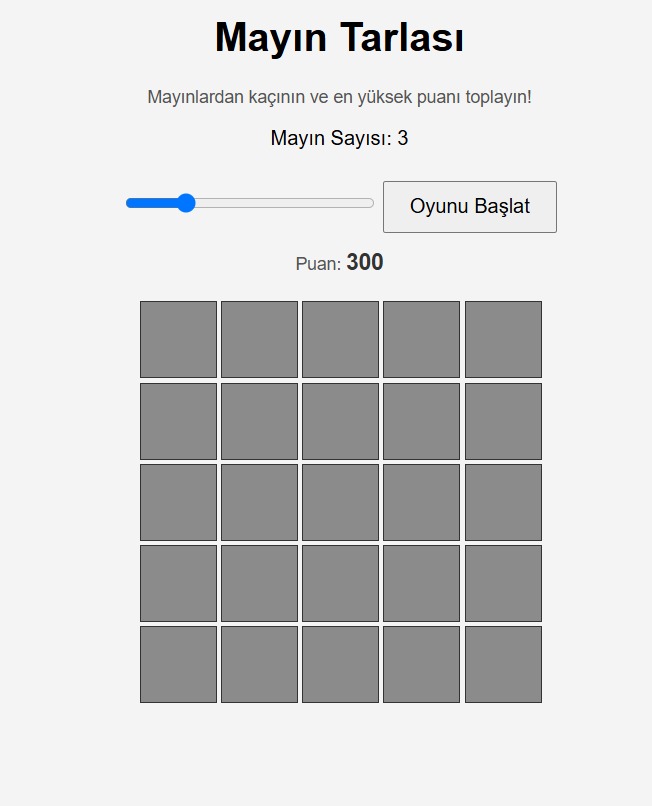 Proje 3